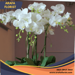 Bingung Memilih Karangan Bunga Indoor? Arafa Florist Solusinya!